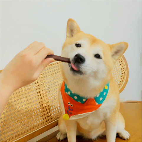 毛骨力 雞肉薑黃潔牙棒 18支【腸胃抗炎】