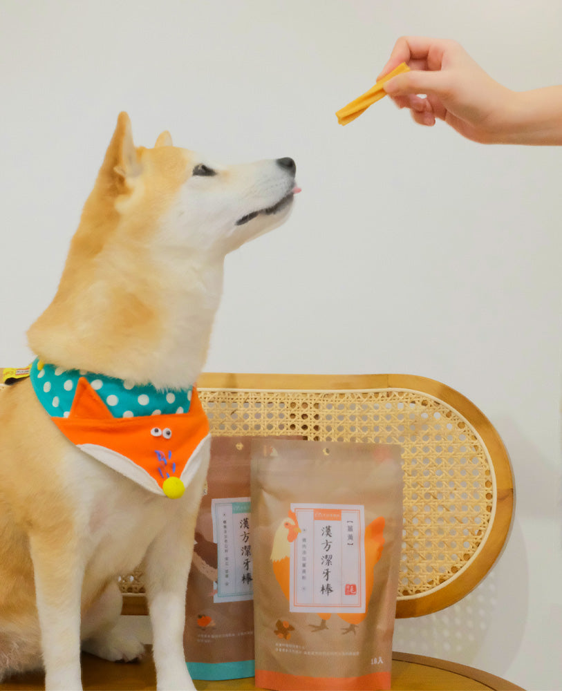 毛骨力 雞肉薑黃潔牙棒 18支【腸胃抗炎】